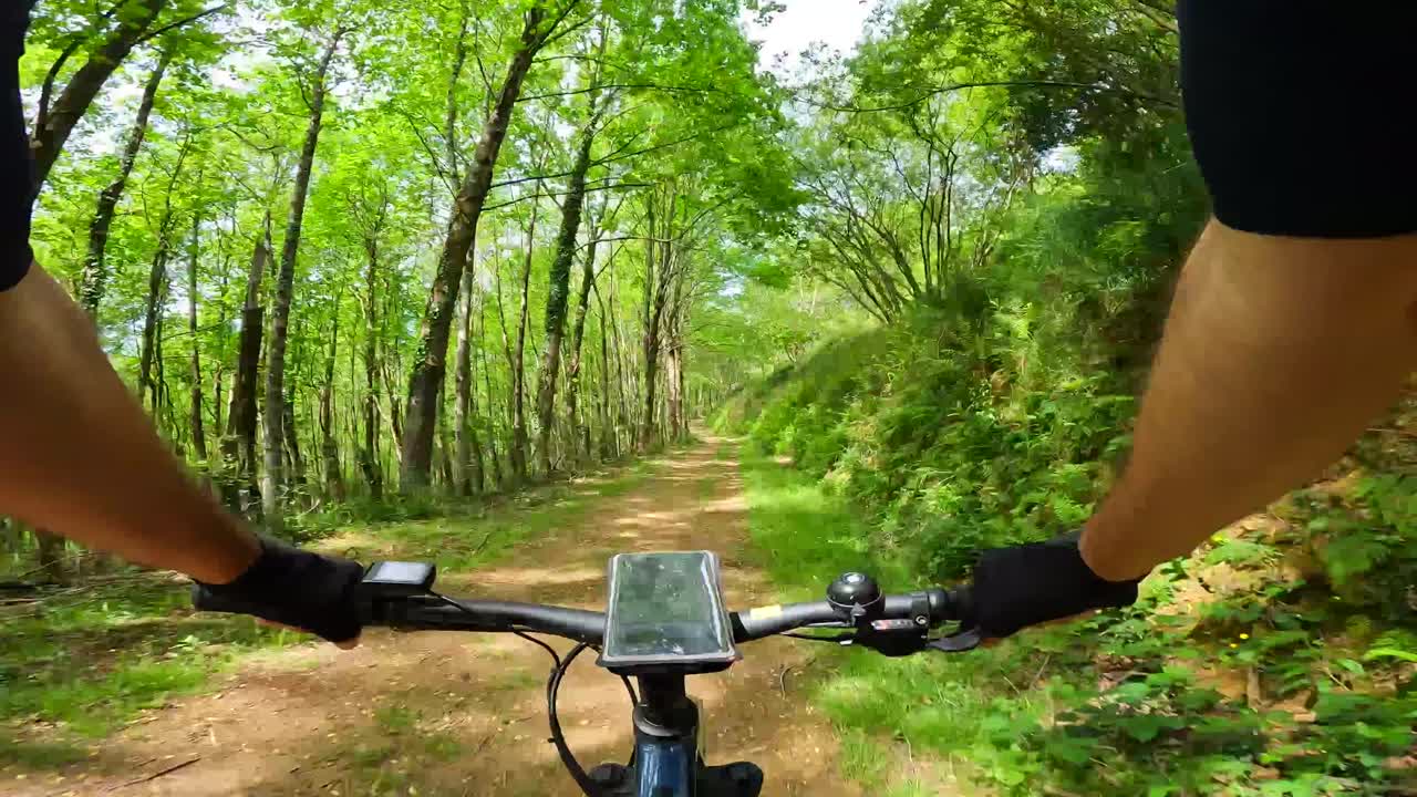 Mountain Biking through a Forest Trail