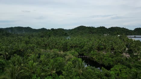 descending aerial view of quaint island jungle with small river and surrounding palm trees in virac, catanduanes