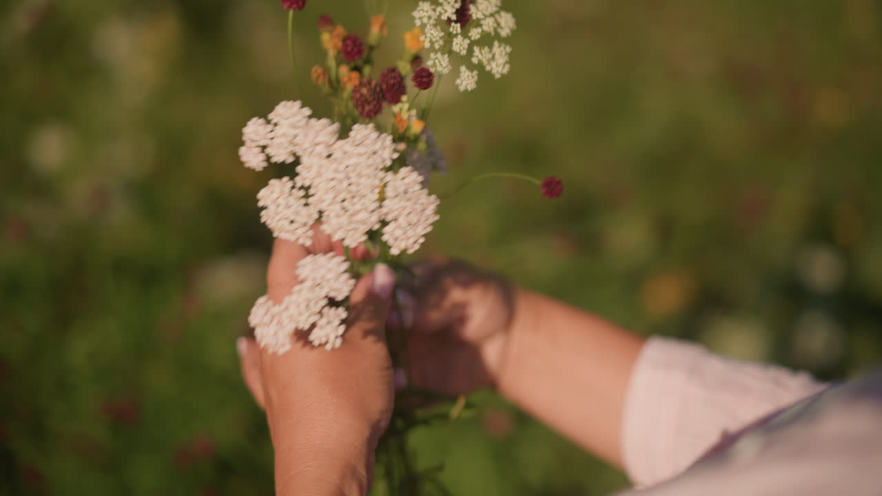 primer plano de un jardinero con camisa rosa arreglando cuidadosamente las flores silvestres a mano en un campo cubierto de hierba, capturando detalles delicados de pétalos y tallos verdes contra un fondo natural borroso en un día soleado