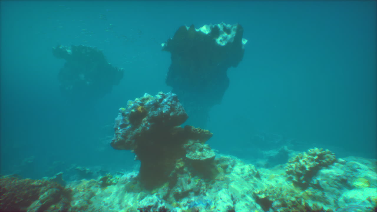 impresionante arrecife de coral submarino