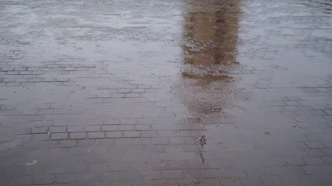Raindrops Falling on Wet Pavement Creating Ripples