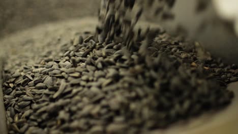 sunflower seeds on a factory conveyor