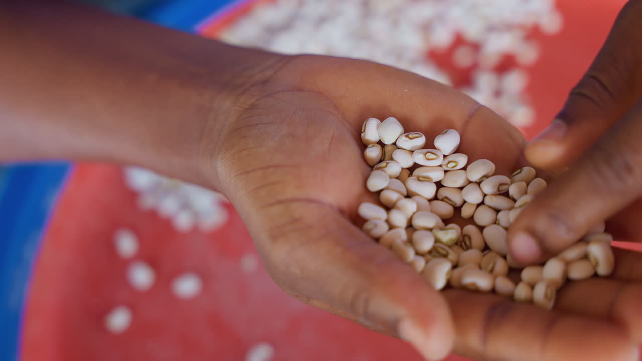 Black hands inspecting beans in palm, home cook in house kitchen checking beans for quality, closeup of tactile sorting and instructional gesture, careful selection and domestic preparation under warm