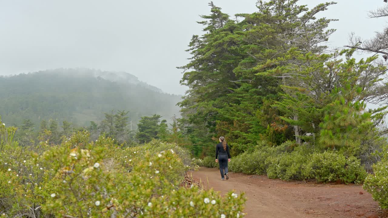 Calm peaceful slow walk at Tenerife Spain&rsquo;s Canary Island