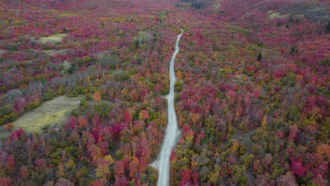 Atemberaubende-Herbstliche-Waldlandschaft-Mit-Unbefestigter-Straße-–-Luftaufnahme-Nach-Oben