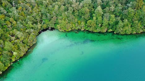 Experimente-La-Serena-Belleza-De-Un-Lago-Tranquilo-Mientras-Capturamos-La-Pintoresca-Vista-De-Su-Pacífica-Orilla,-Donde-La-Simplicidad-De-La-Naturaleza-Se-Encuentra-Con-El-Suave-Chapoteo-De-Las-Aguas-Cristalinas.