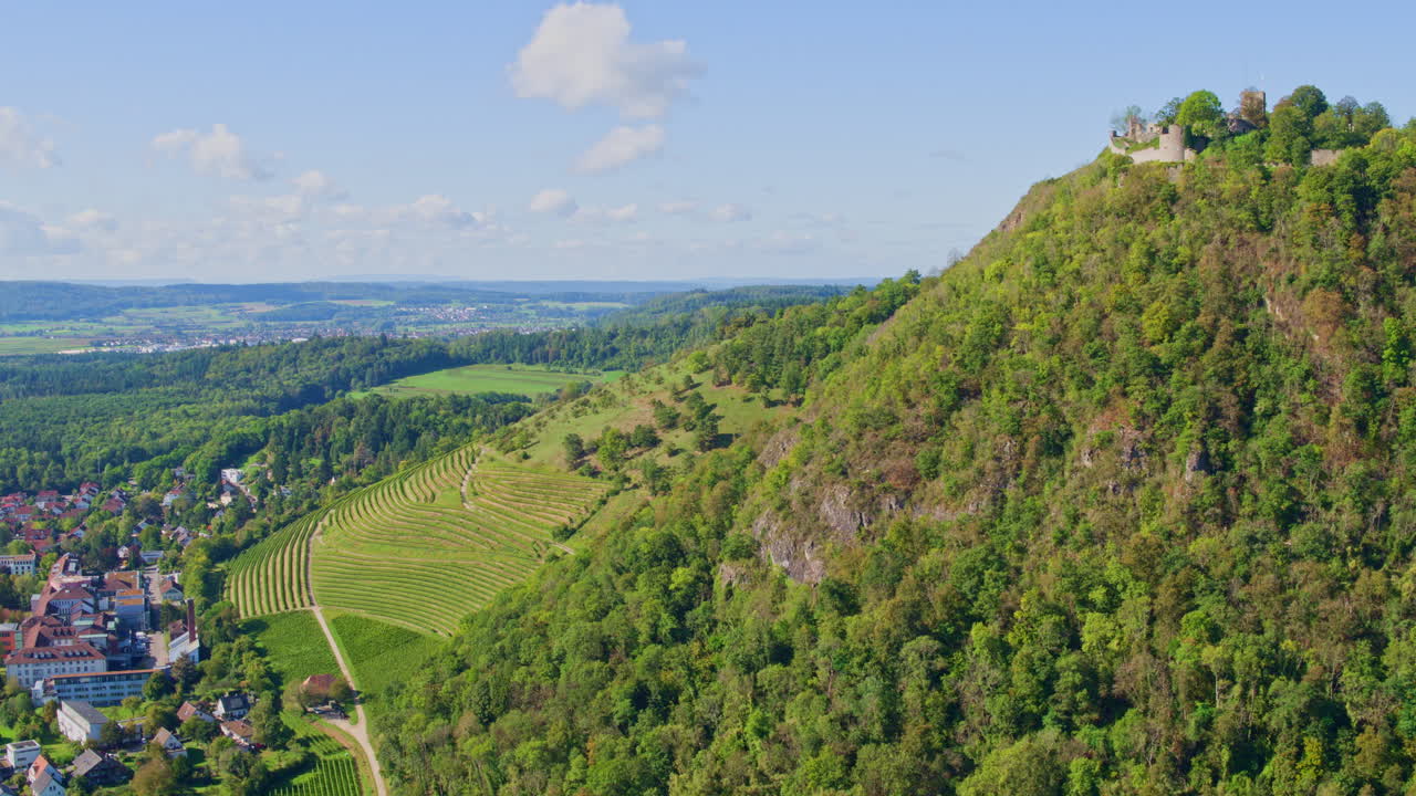 viñedo en terrazas cortado en la ladera en staatsweingut en un día soleado
