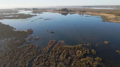zona protegida de aves con un lago-2