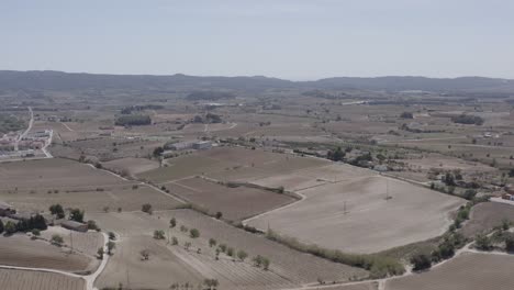 -Felder-Mit-Weinbergen,-Olivenbäumen