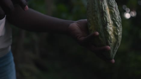 hombre local africano negro abriendo una fruta de cacao verde con un machete en una cámara lenta cinematográfica