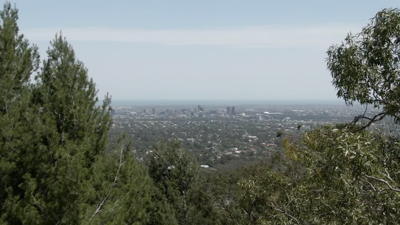 colina del bosque con panorama del paisaje urbano de adelaide en australia