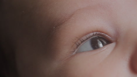 macro shot of a baby boy's eyes
