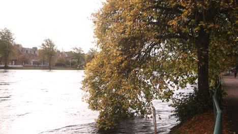 Fluss-Rauschen-Vorbei-Mit-Herbstbaum-Im-Wasser-In-Inverness,-Schottland-Im-Hochland