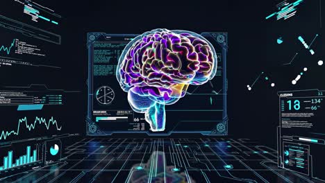 brain visualization with medical interface