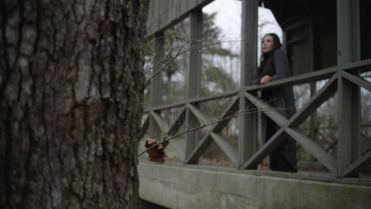 establecimiento de tiro chica contemplativa de pie en el puente en el parque
