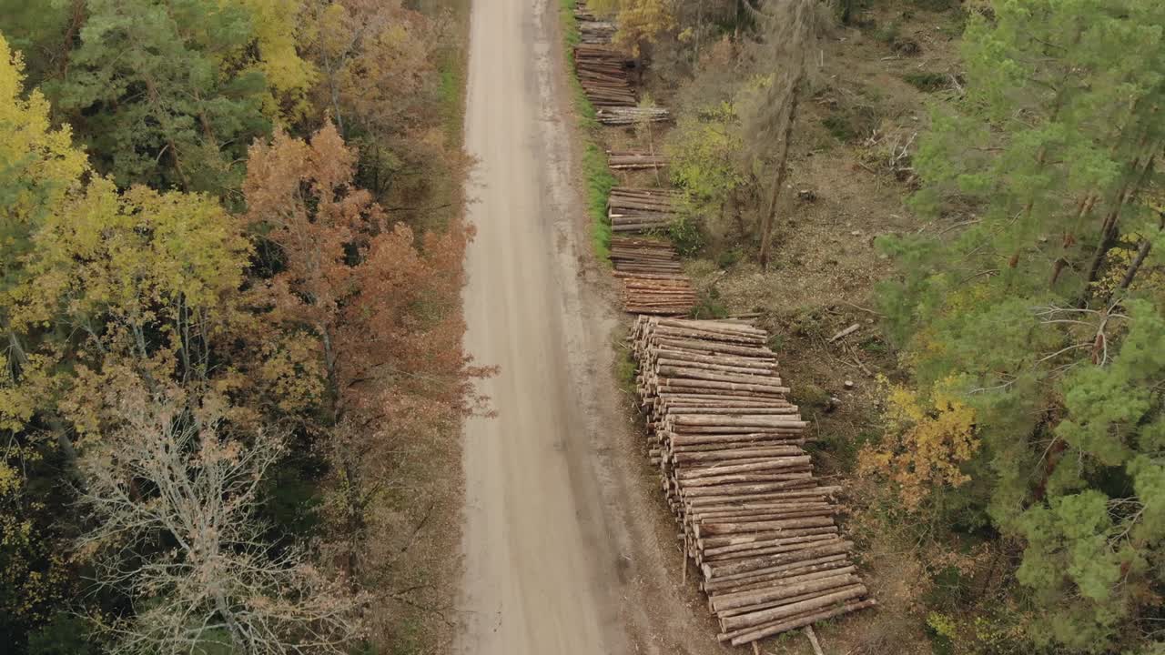 Stacks of logs, trunks of felled trees, stacked along the gravel road