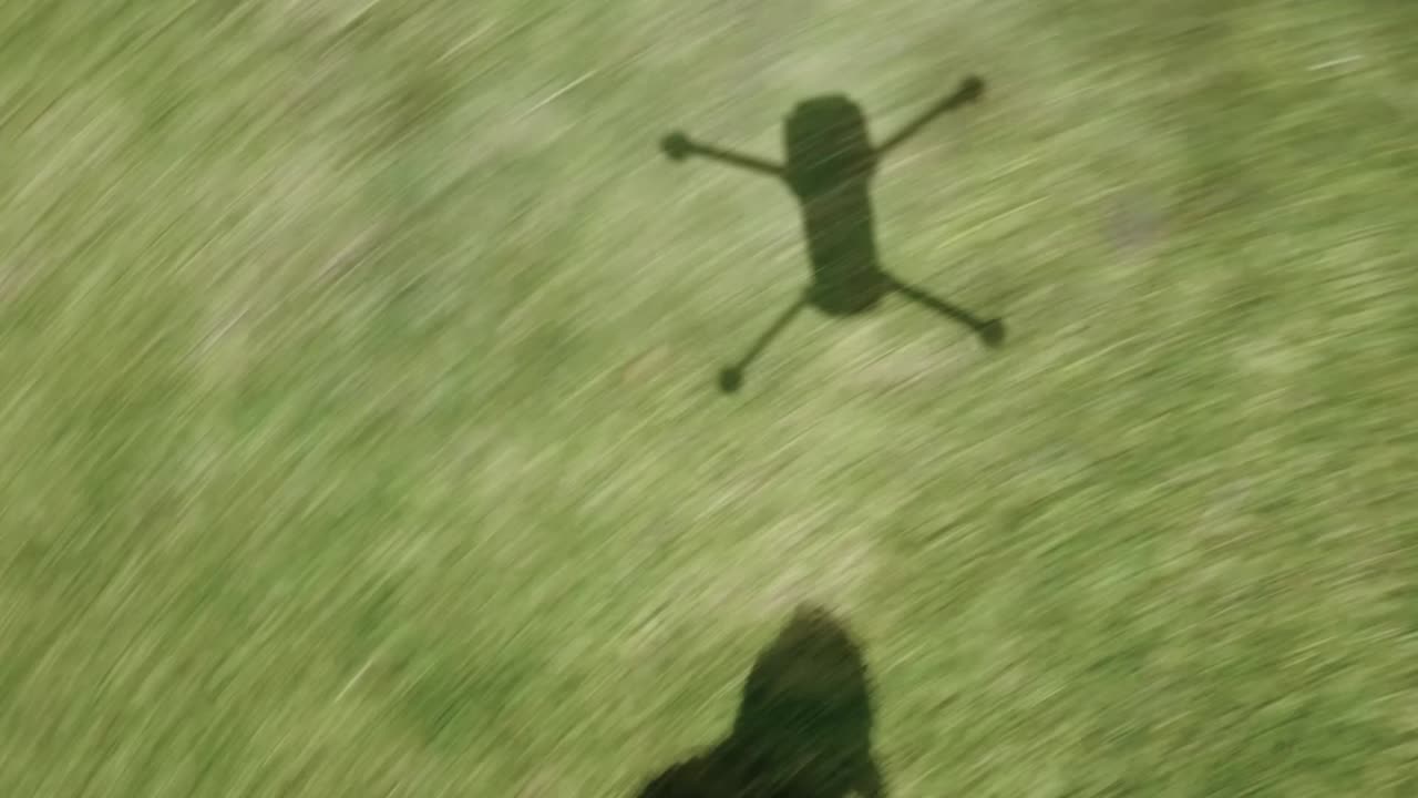 bulldog francés negro persigue y salta tras un dron