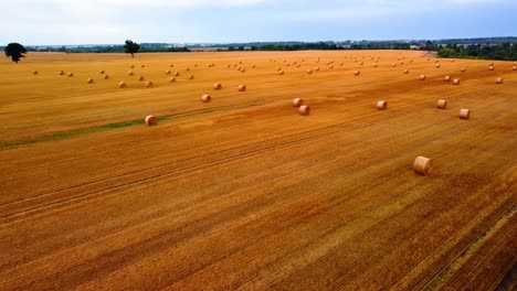 Luftaufnahme-Eines-Großen-Industriellen-Braunen-Feldes-Mit-Vielen-Heuballen-Im-Feld