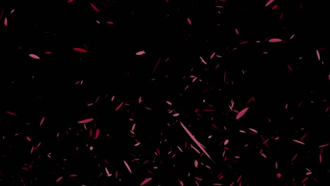gráficos de movimiento de partículas en vuelo de pluma roja