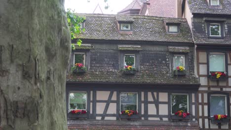 Tiro-Vertical-De-Una-Casa-Tradicional-Alsaciana-De-Entramado-De-Madera-Con-Un-Tronco-De-árbol-En-Primer-Plano,-Estrasburgo,-Francia