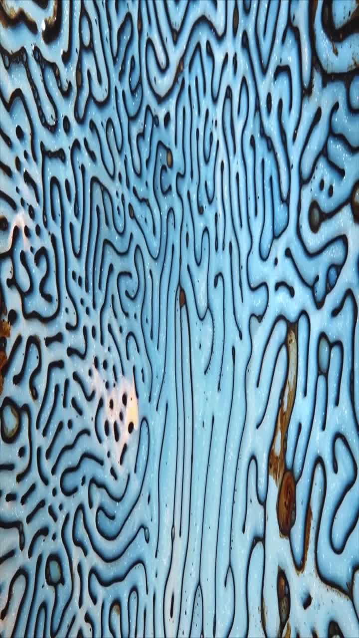 Dynamic Abstract Fluid Pattern with Blue and Dark Lines