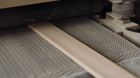 close-up of a piece of wood on a drum sander's conveyor belt