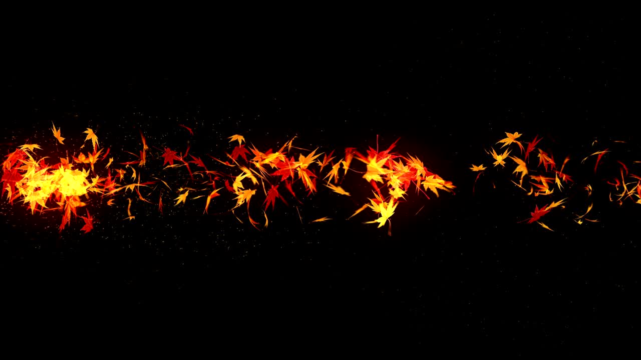 검은 바탕에 떨어지는 가을 잎, 메이플 잎, 루프 글리터 애니메이션