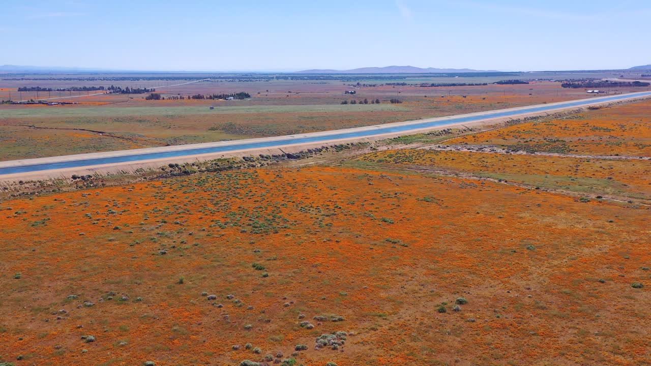 야생화와 양귀비 꽃으로 둘러싸인 캘리포니아 수로의 공중 모하비 사막 4