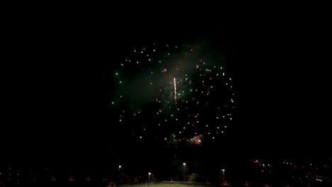 los fuegos artificiales iluminan el cielo nocturno cada 4 de julio, creando una deslumbrante exhibición para celebrar la independencia estadounidense.