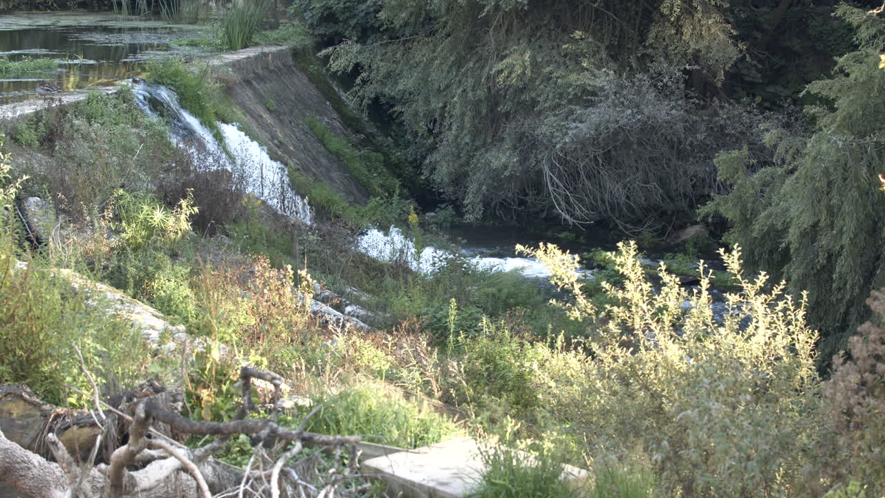 A manmade waterfall in the Rio Lis River in Leiria, Portugal with lush, green life by the stream - Wide shot