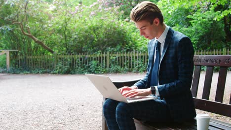 hombre de negocios elegante usando una computadora portátil en el parque