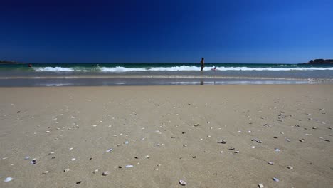 costa búlgara del mar negro