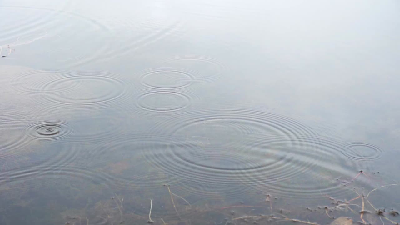 슬로우 모션으로 물에 잔물결을 만드는 빗방울