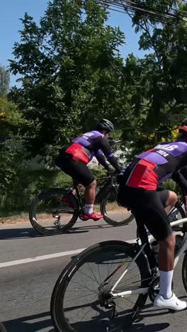 group of cyclists competing on a sunny day