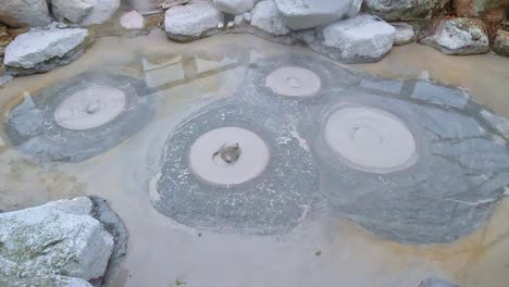 oniishi-bozu-jigoku-in-beppu