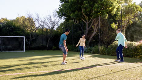 playing soccer outdoors, family enjoying time together on grassy field, copy space