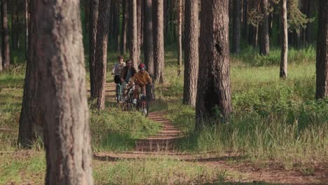 young affectionate couple with their son riding bicycles in rural environment