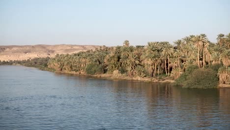 cruise on the nile river in egypt on a cruise ship with a view of the palm trees at sunset