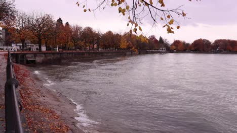 bregenz lake promenade in autumn - lake constance with autumn trees - rainy day