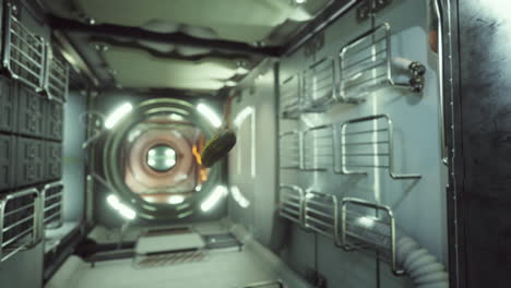 pepino encurtido marinado flotando en la estación espacial internacional
