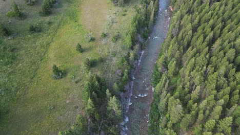 forest river | aerial footage 4k