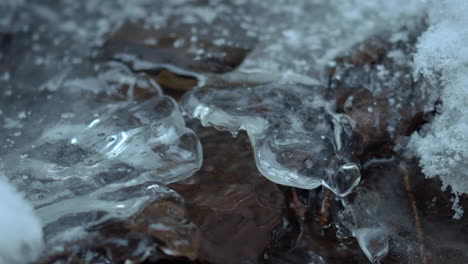 macro video of tiny creek flowing under a thin ice cover