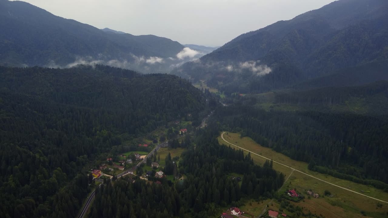 vista panorámica de un bosque pintoresco cerca de la moderna