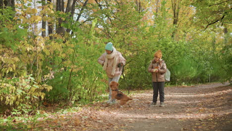 mother and child stroll through colorful forest with playful dog on leash, enjoying calm autumn day, warm clothing and fallen leaves surround them in peaceful family bonding walk outdoors