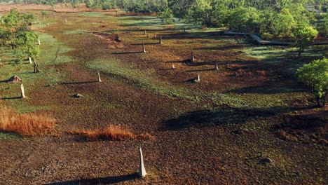 Panorama-Of-Magnetic-Termite-Mounds-A-Tourist-Attraction-In-Litchfield-Park,-Australia