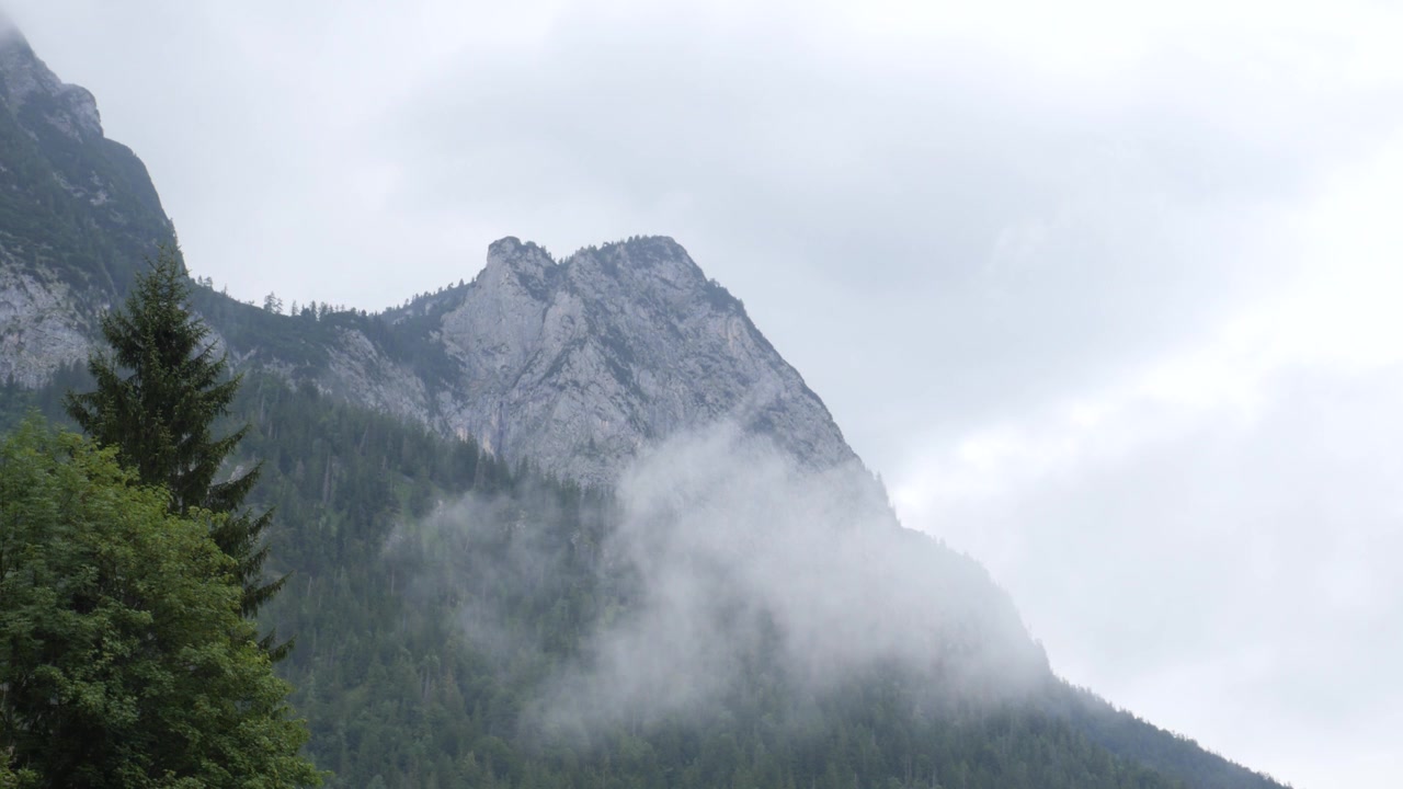 Klippefyldt bjergtop, der tårner sig op over tågede alpeskove nær Hintersee, Bayern