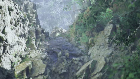 Misty Forest Path Through Rocks