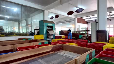 inside a tea sorting room in a sri lankan factory, colorful crates fill the space, showcasing a vibrant industrial atmosphere. w