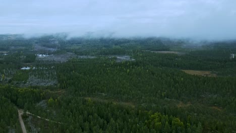 white clouds and fogs over the lush green forest at early morning in dalarna, sweden