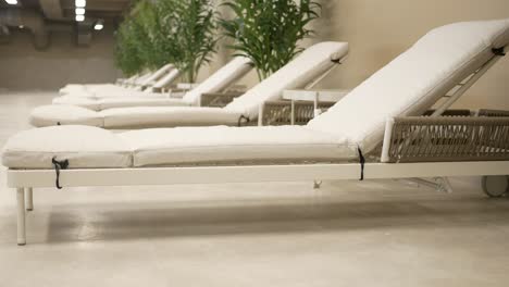 luxury sunbeds in a modern spa setting